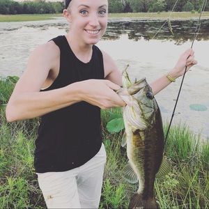 Meet your Posher, Ellen